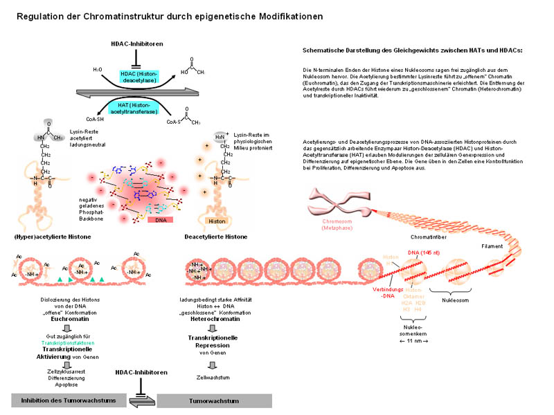 hdac inhibitors